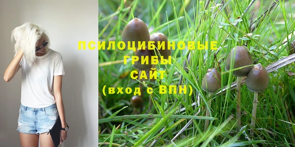 мяу мяу кристалл Ладушкин