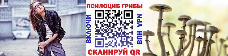 купить наркотик  Белорецк  Галлюциногенные грибы мицелий 