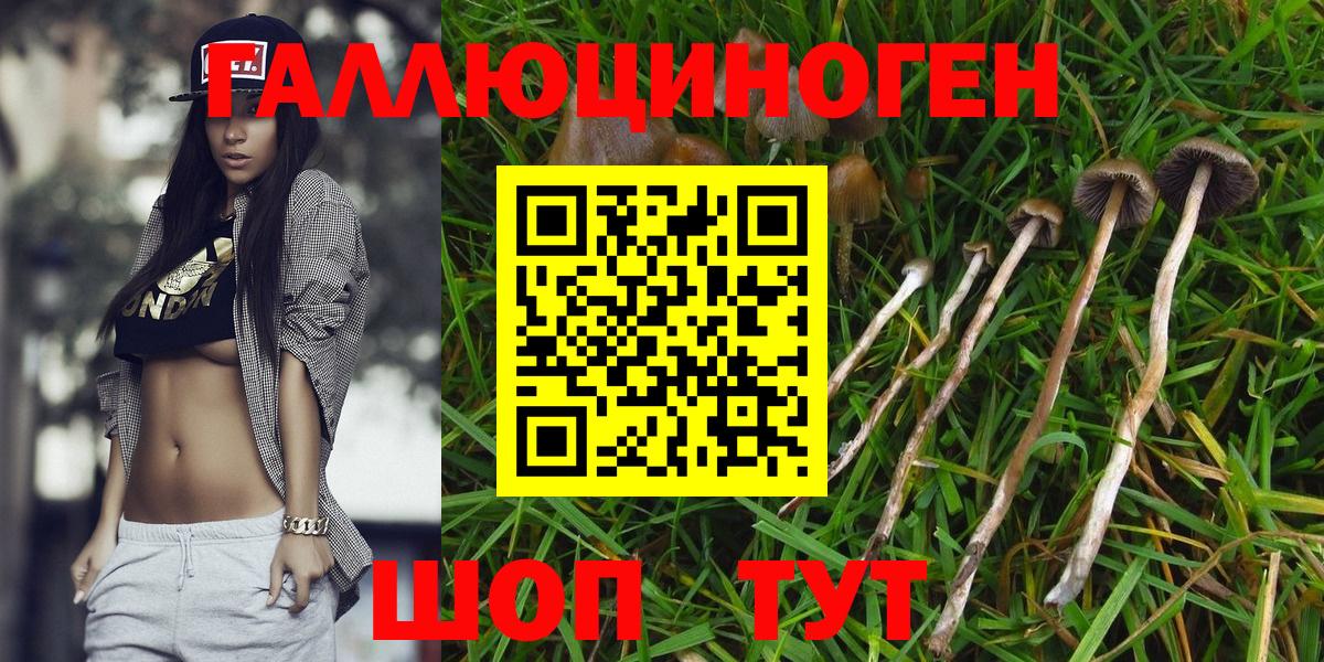 Белорецк  Галлюциногенные грибы мухоморы  Вход с VPN 