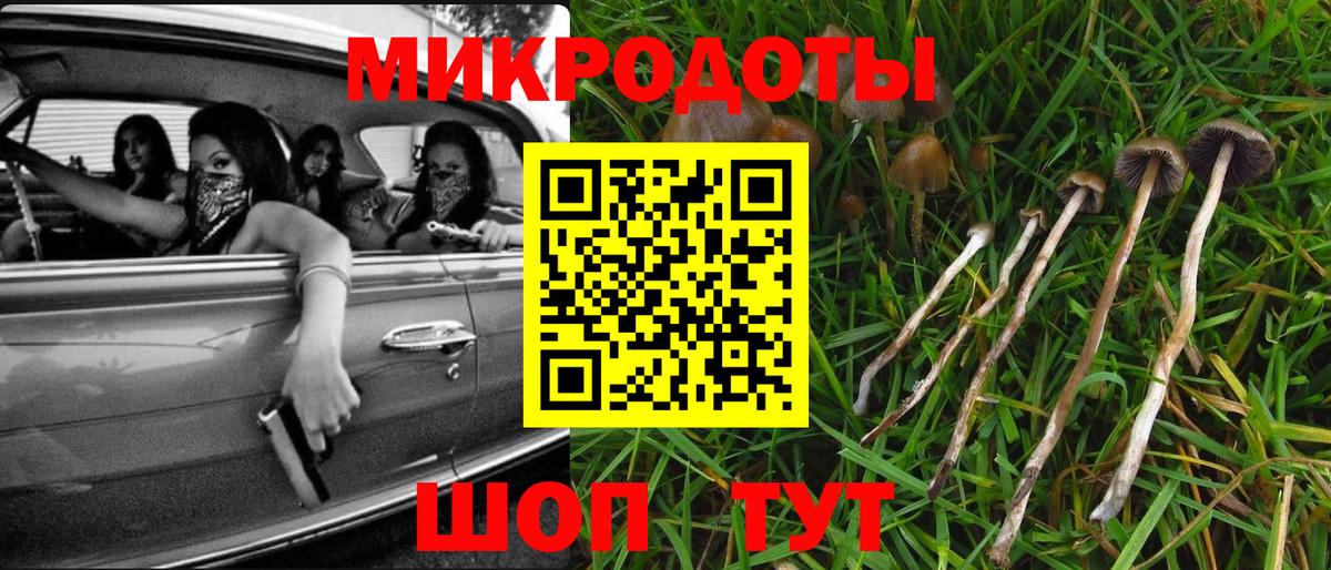 Псилоцибиновые грибы прущие грибы  Псилоцибиновые грибы Cubensis  Белорецк 