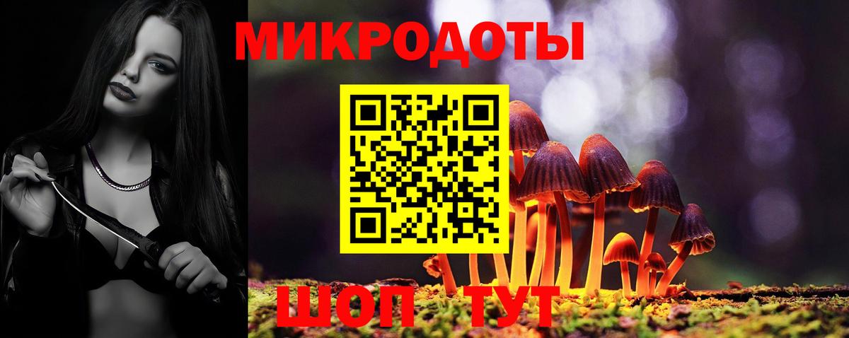 Псилоцибиновые грибы Psilocybe Белорецк
